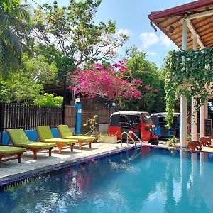 Mirissa Blue Whale Holiday Hotel